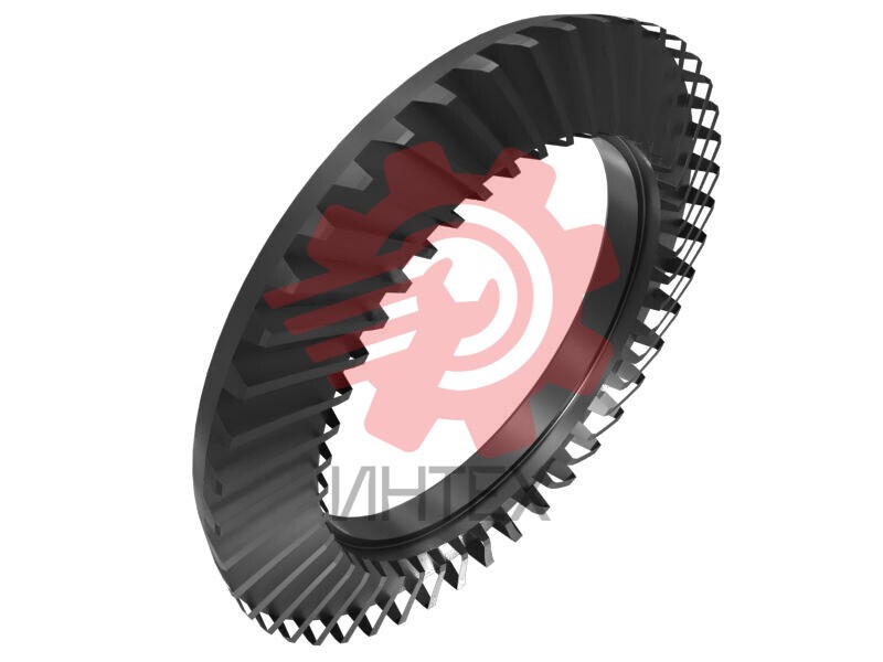 Spiral Bevel Gear 629-8449 / 6298449