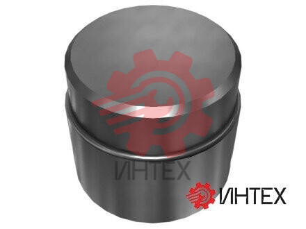 69.36mm Outer Diameter Track Pin Plunger 9U-7565 / 9U7565