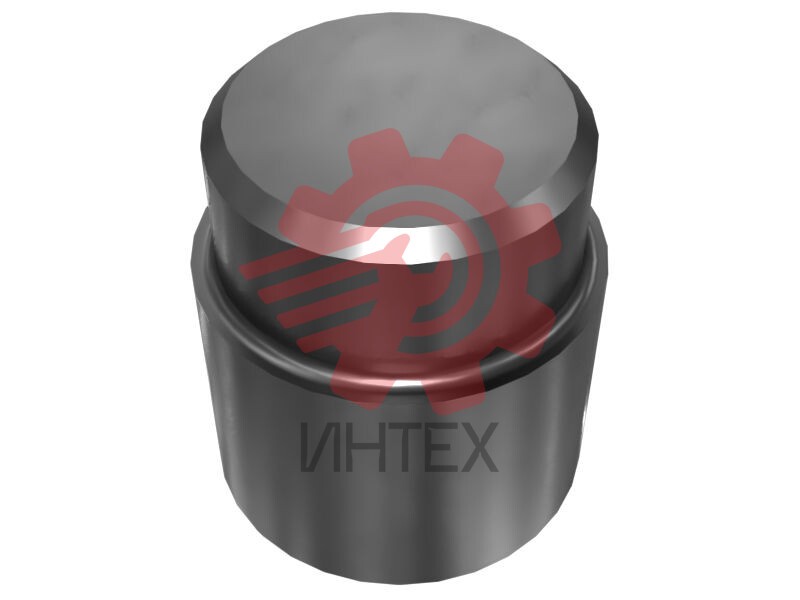 50.31mm Outer Diameter Track Pin Plunger 9U-7627