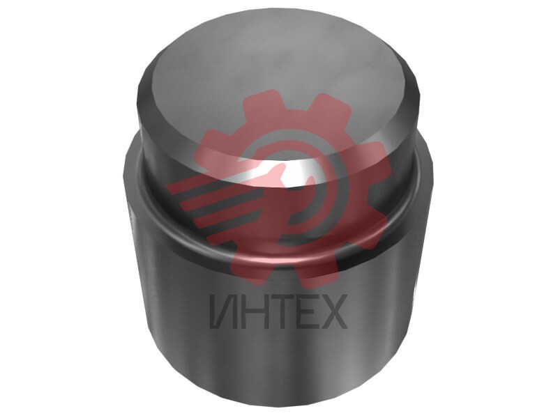 50.31mm Outer Diameter Track Pin Plunger 9U-7629