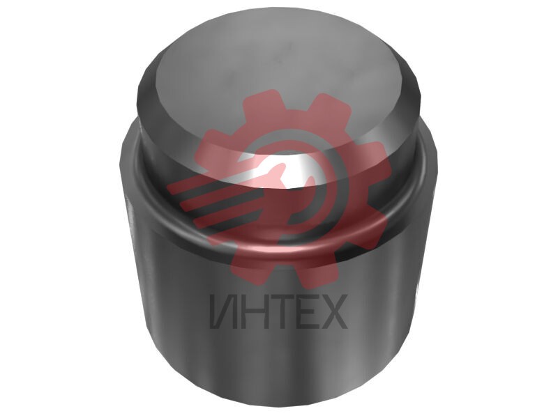 40.66mm Outer Diameter Track Pin Plunger 9U-7665