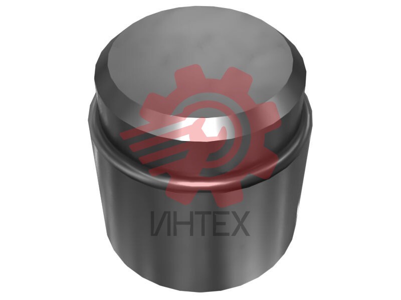 40.66mm Outer Diameter Track Pin Plunger 9U-7667
