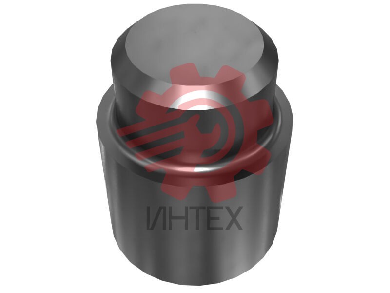 34.43mm Outer Diameter Pin Plunger 9U-7684