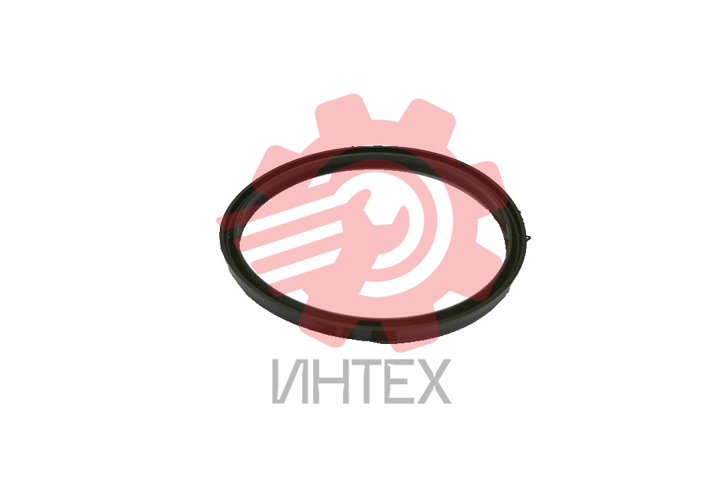 Грязесъемник NOK LBI 100х110х6, 100-110-6 U593 Image Big 1