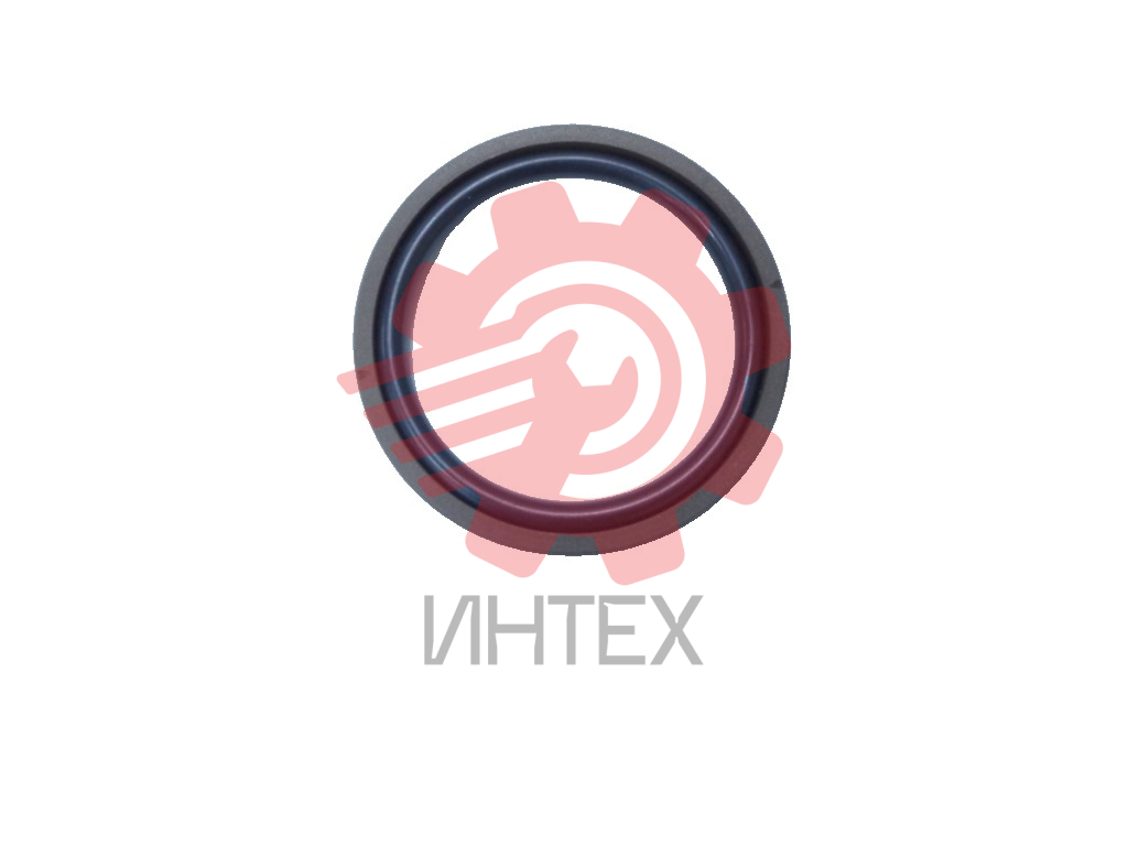 Уплотнение поршня DRING 100х79х7,7/8,1  100-79-7,7/8,1 (SPGM, OMK-MR)