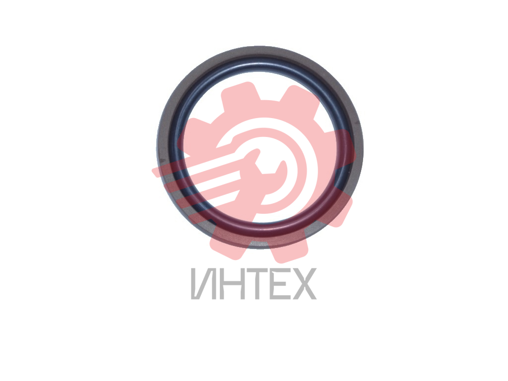 Уплотнение поршня DRING 100х79х7,7/8,1  100-79-7,7/8,1 (SPGM, OMK-MR) Image Big 1
