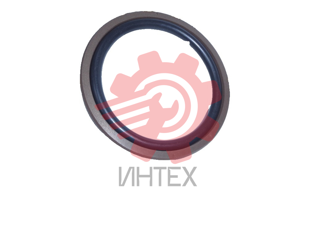 Уплотнение поршня DRING 100х79х7,7/8,1  100-79-7,7/8,1 (SPGM, OMK-MR) Image Big 2