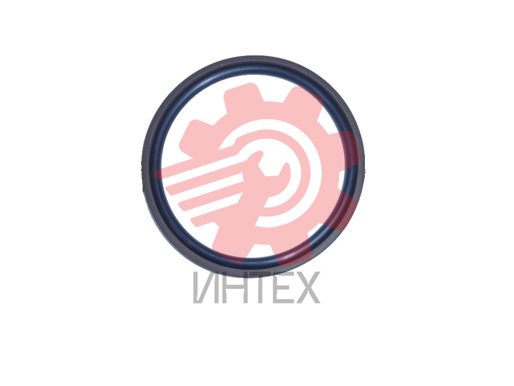Уплотнение поршня DRING 110х94,5х5,9/6,3  110-94-5,9/6,3(SPGM, OMK-MR)