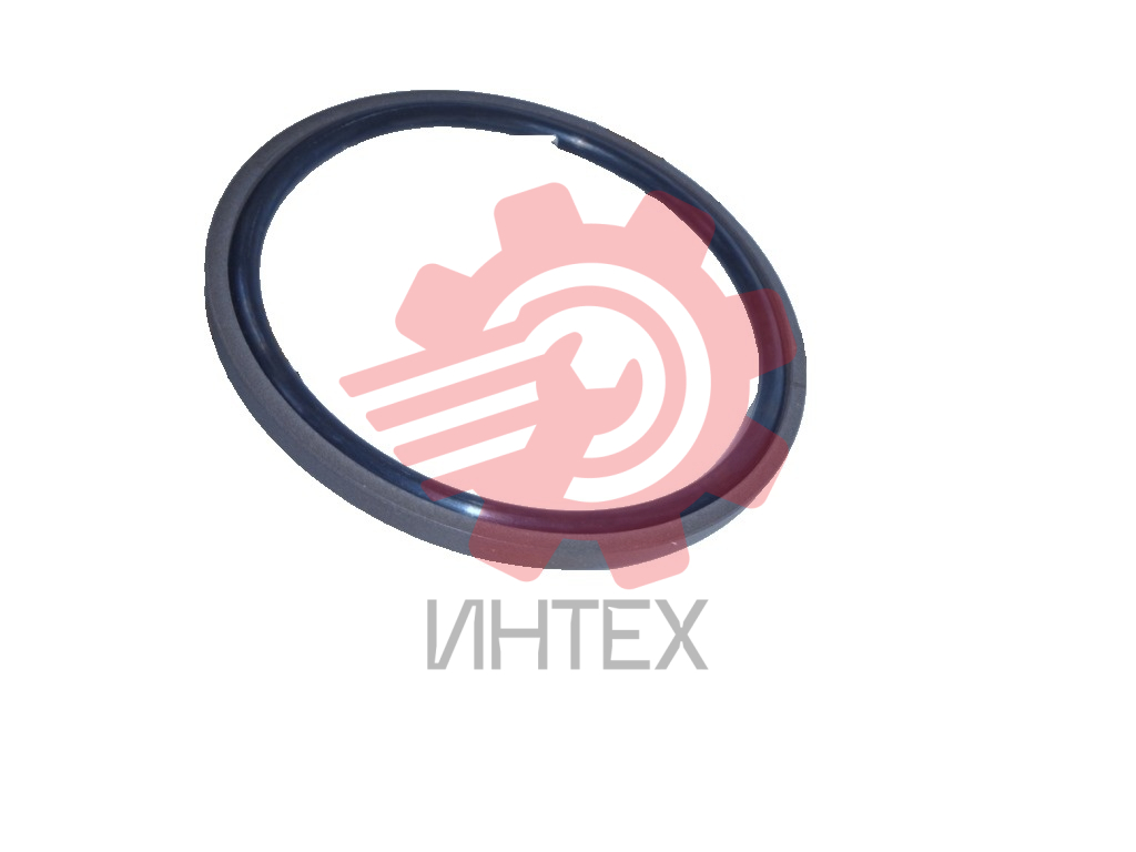Уплотнение поршня DRING 115х99,5х5,9/6,3 115-99,5-5,9/6,3  (SPGM, OMK-MR) Image Big 1