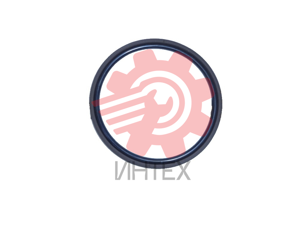 Уплотнение поршня DRING 125х109,5х5,9/6,3  125-109,5-5,9/6,3 (SPGM, ОMK-MR)