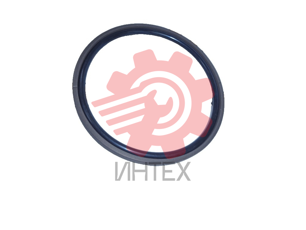Уплотнение поршня DRING 125х109,5х5,9/6,3  125-109,5-5,9/6,3 (SPGM, ОMK-MR) Image Big 1