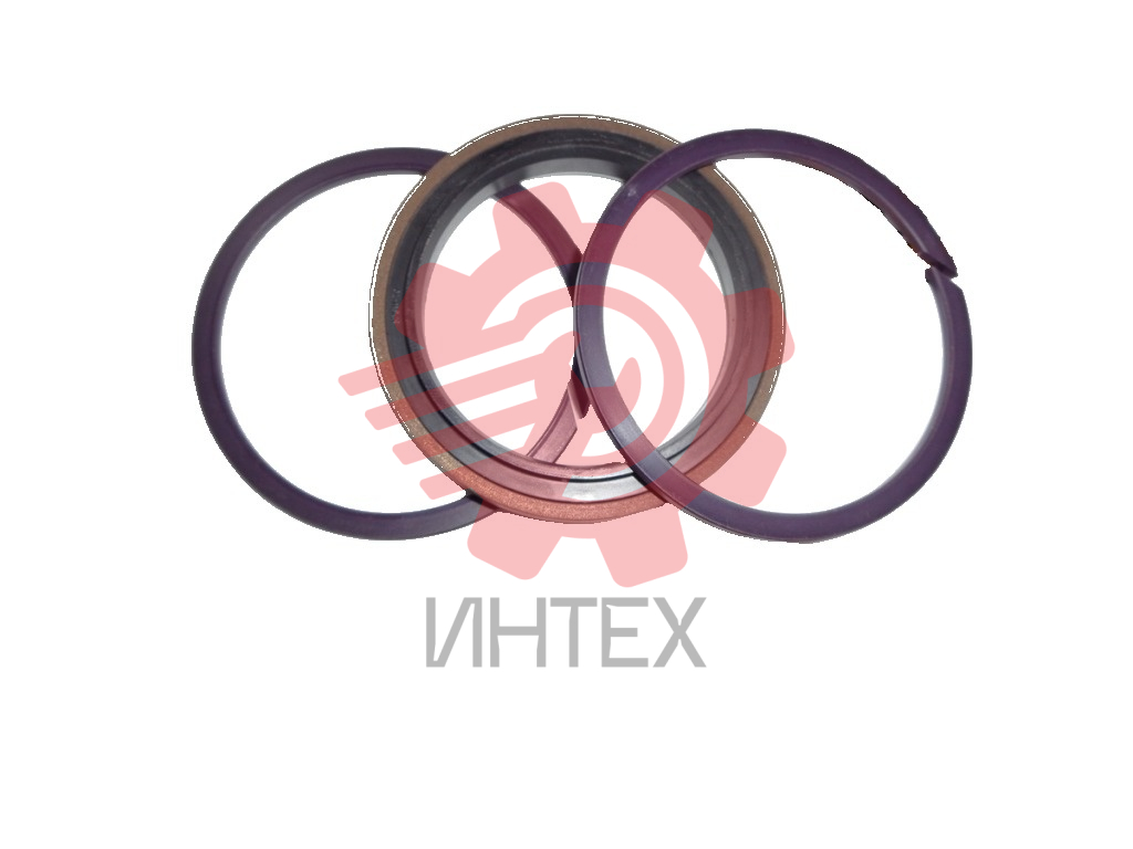 Уплотнение поршня SPGW 70 70х55х10,5/11  70-55-10,5/11 Image Big 1