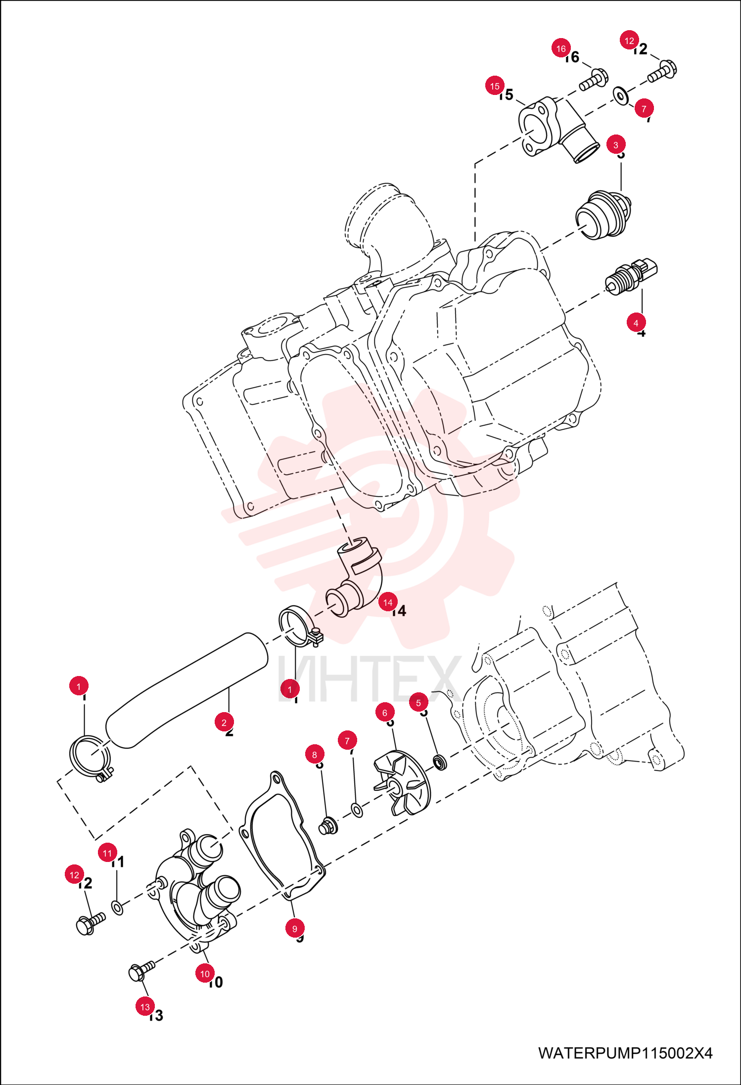 CLAMP, HOSE 7017488
