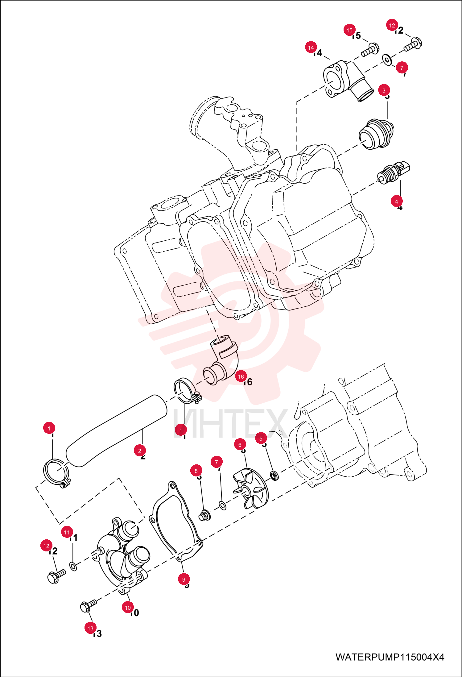 CLAMP, HOSE 7017488