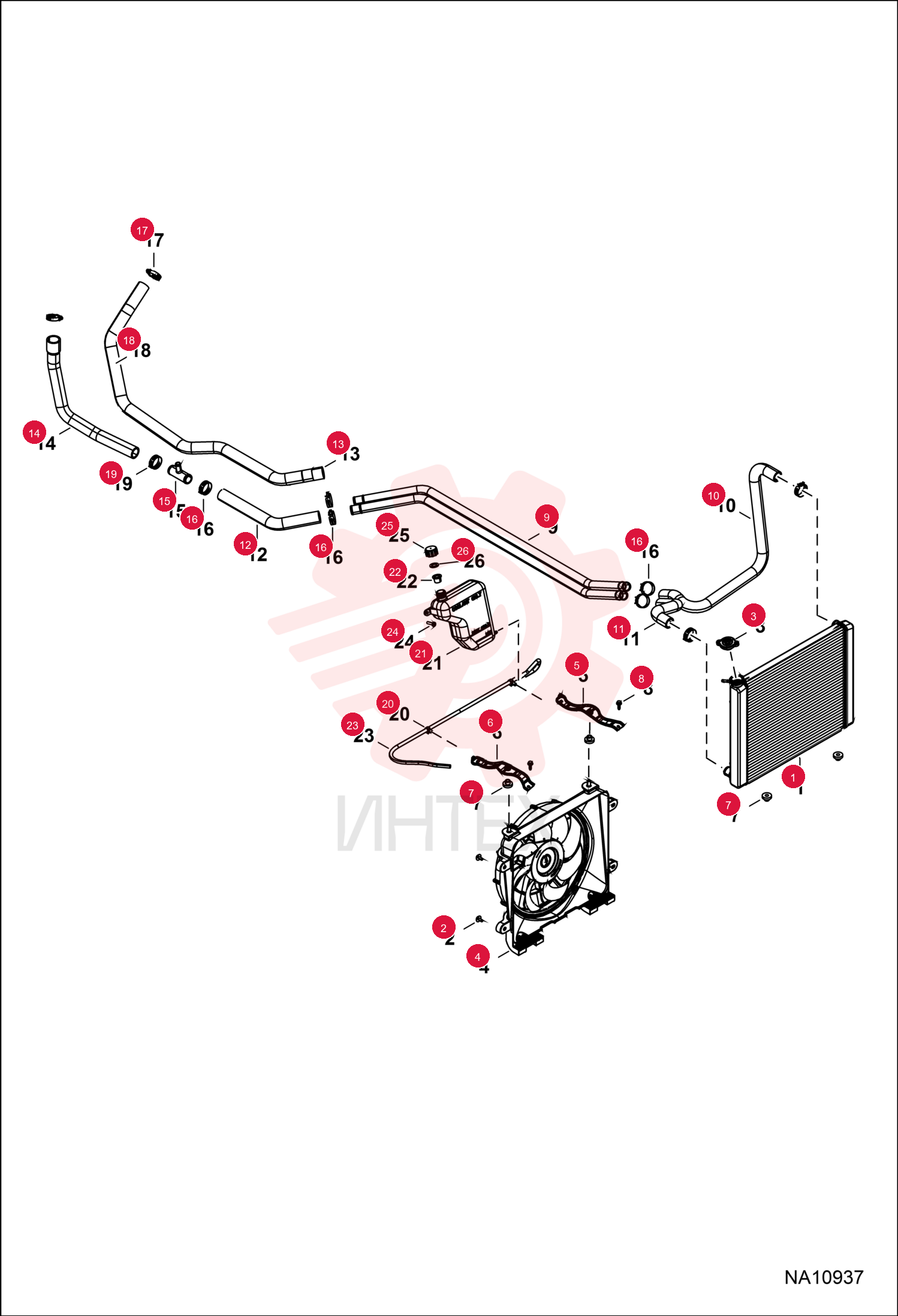 CORE, RADIATOR 7258598 (4)