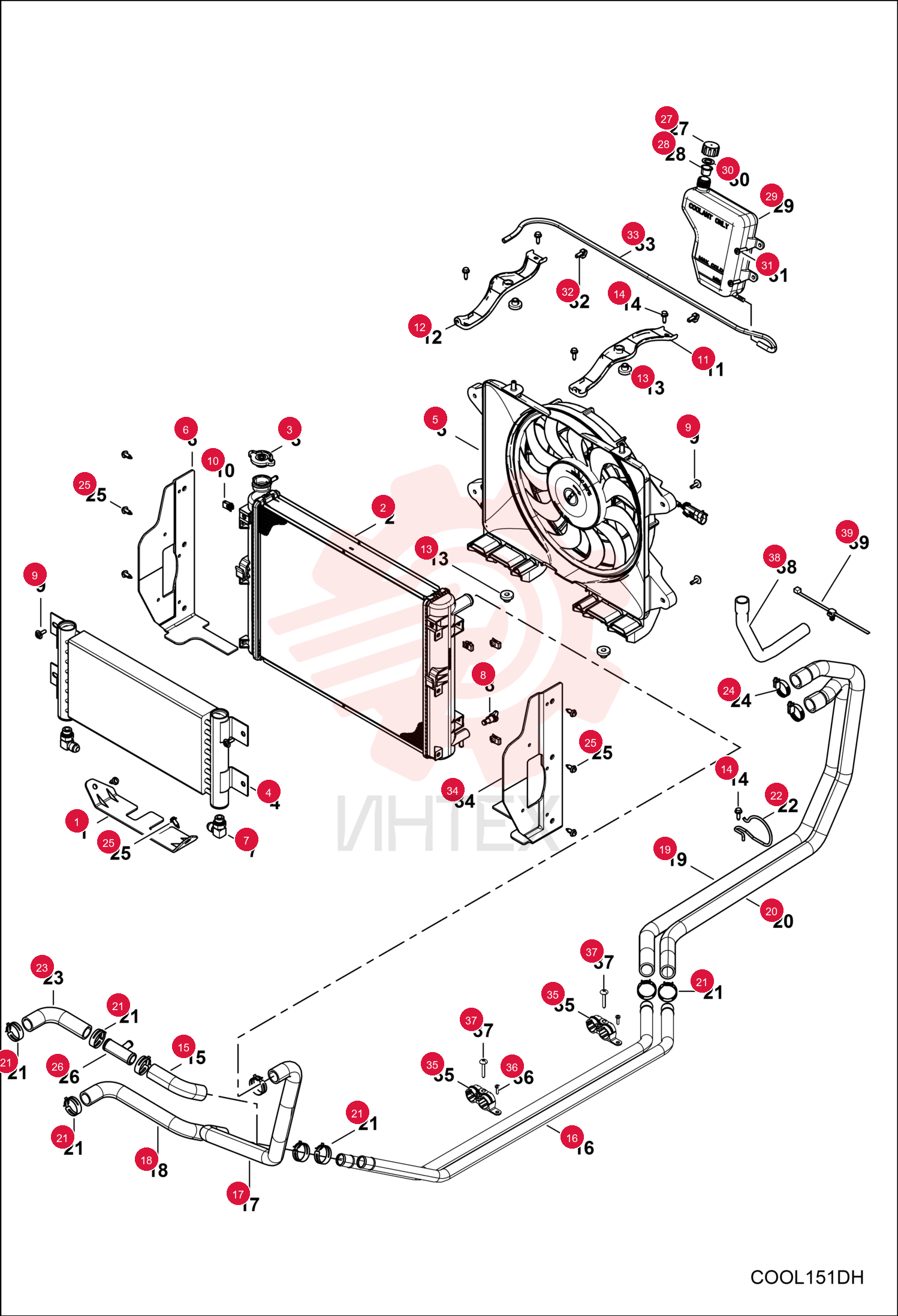 SHROUD, RADIATOR CENTER 7027847 (6)