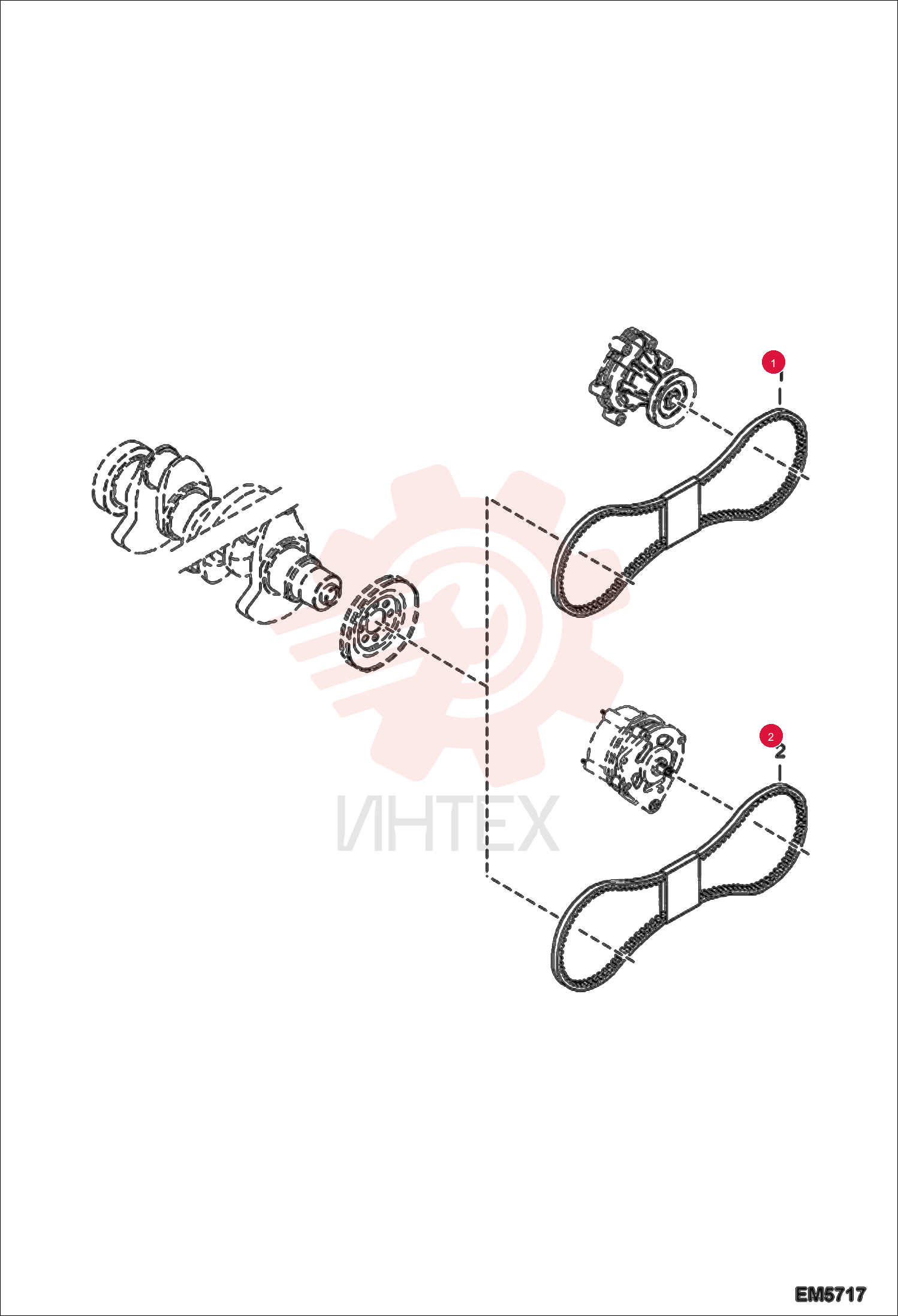 BELT NARROW 7015328