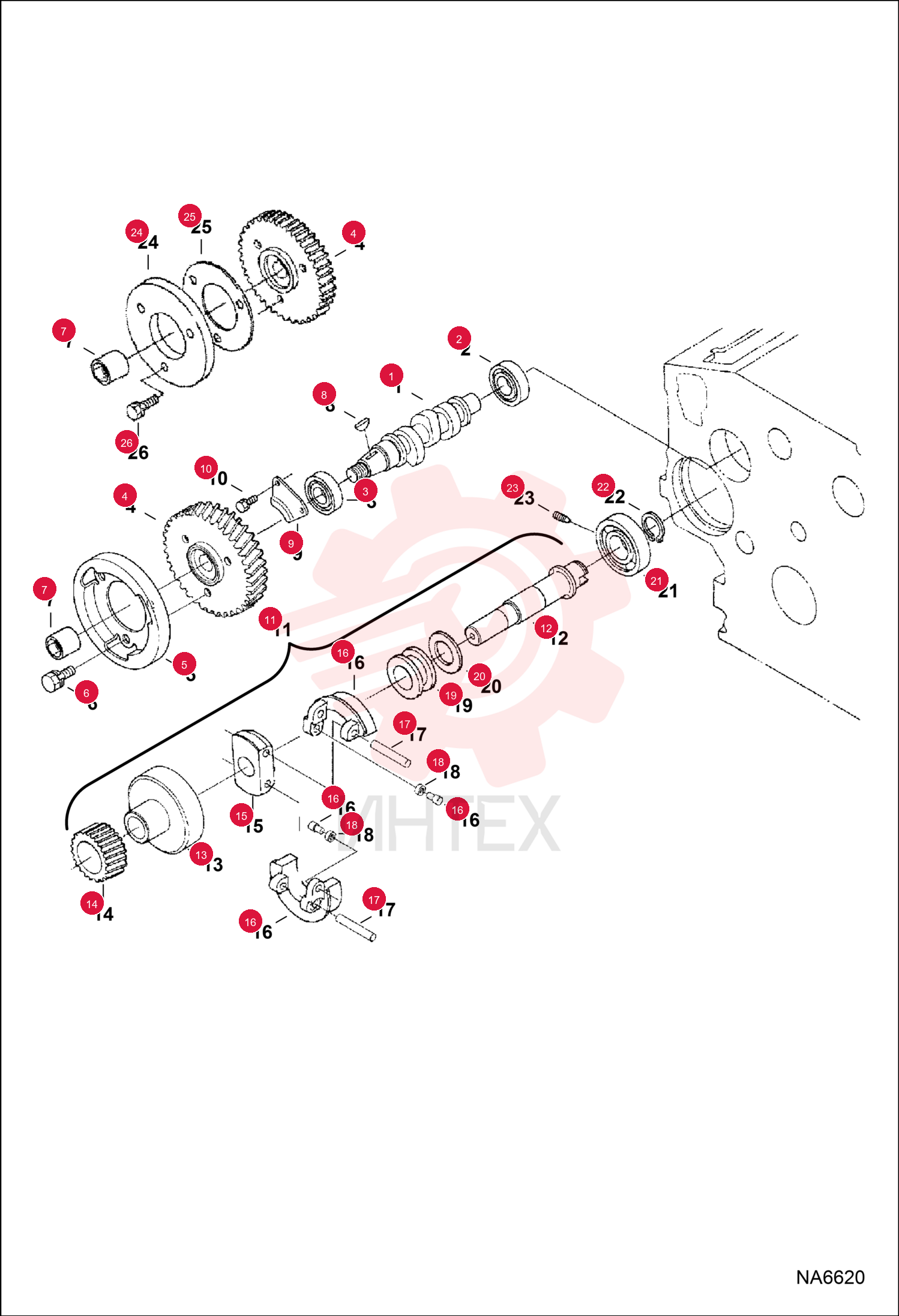 CAMSHAFT 6672379 (4)