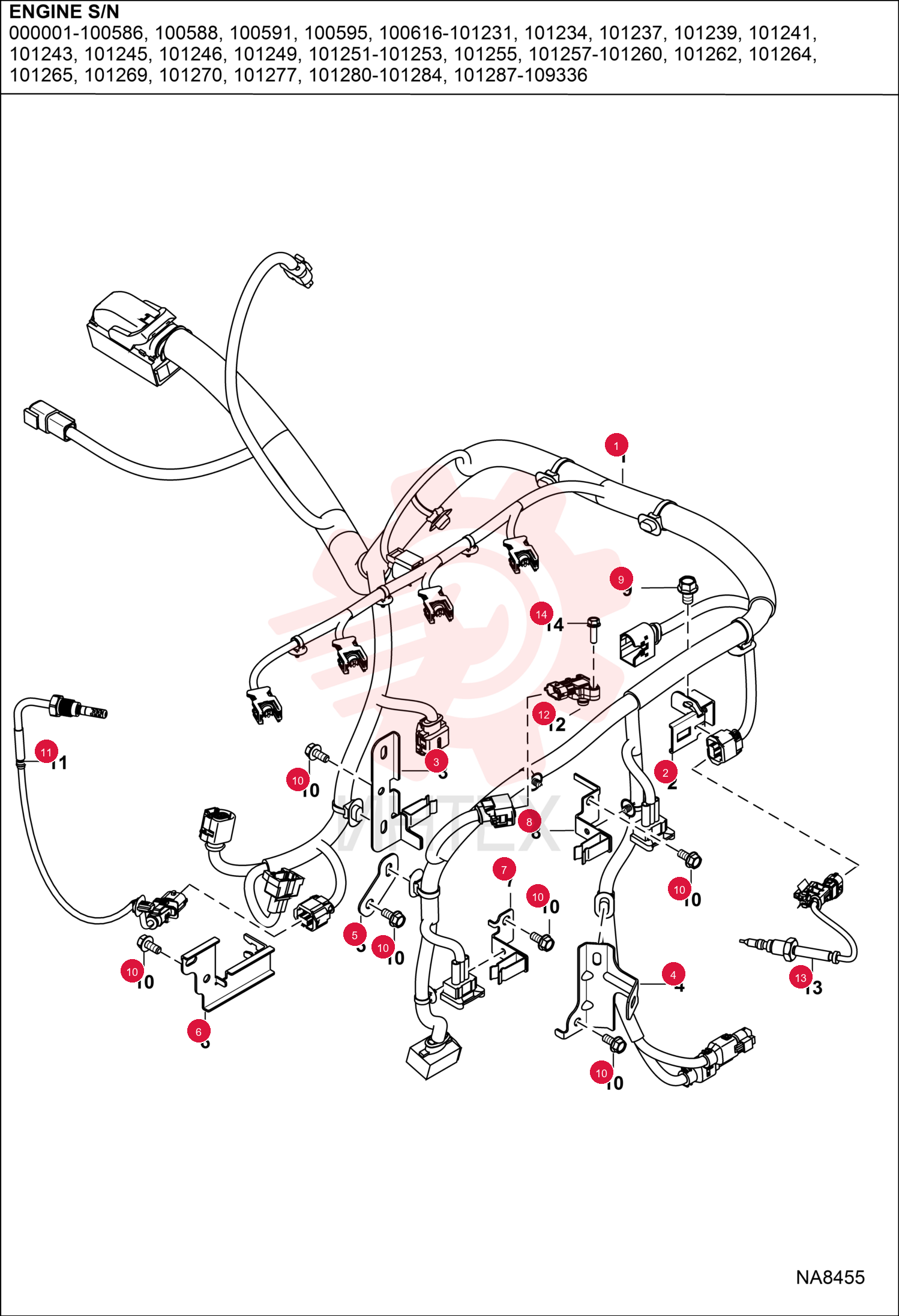 HARNESS, ENG