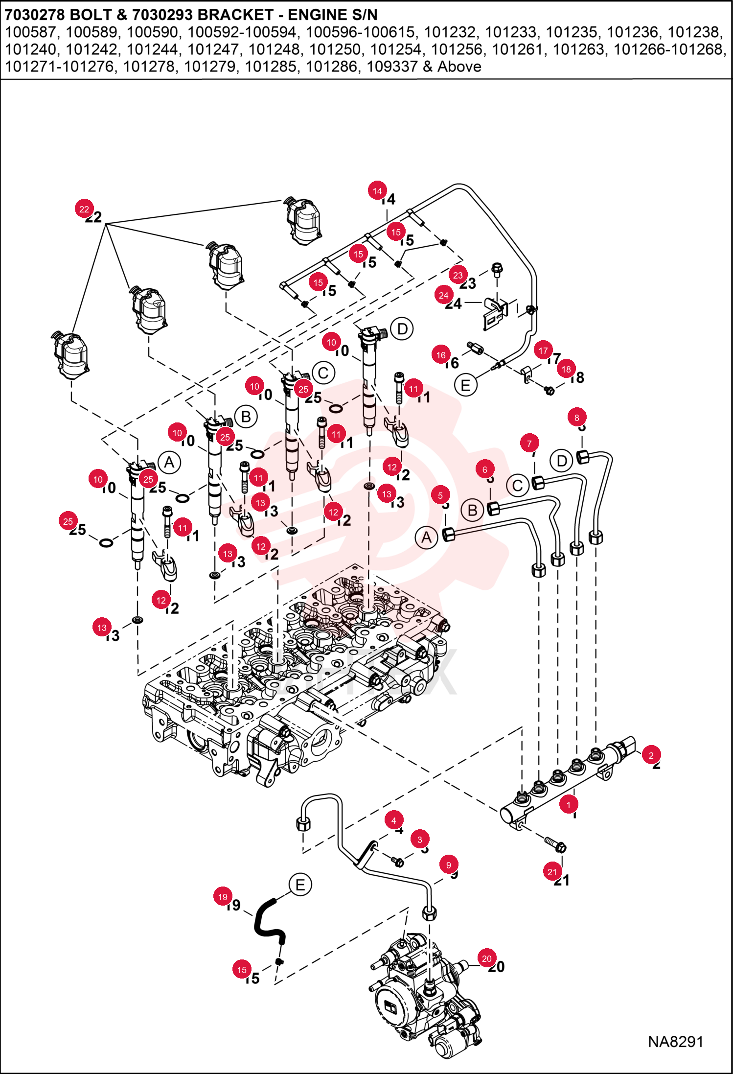 RAIL, COMMON