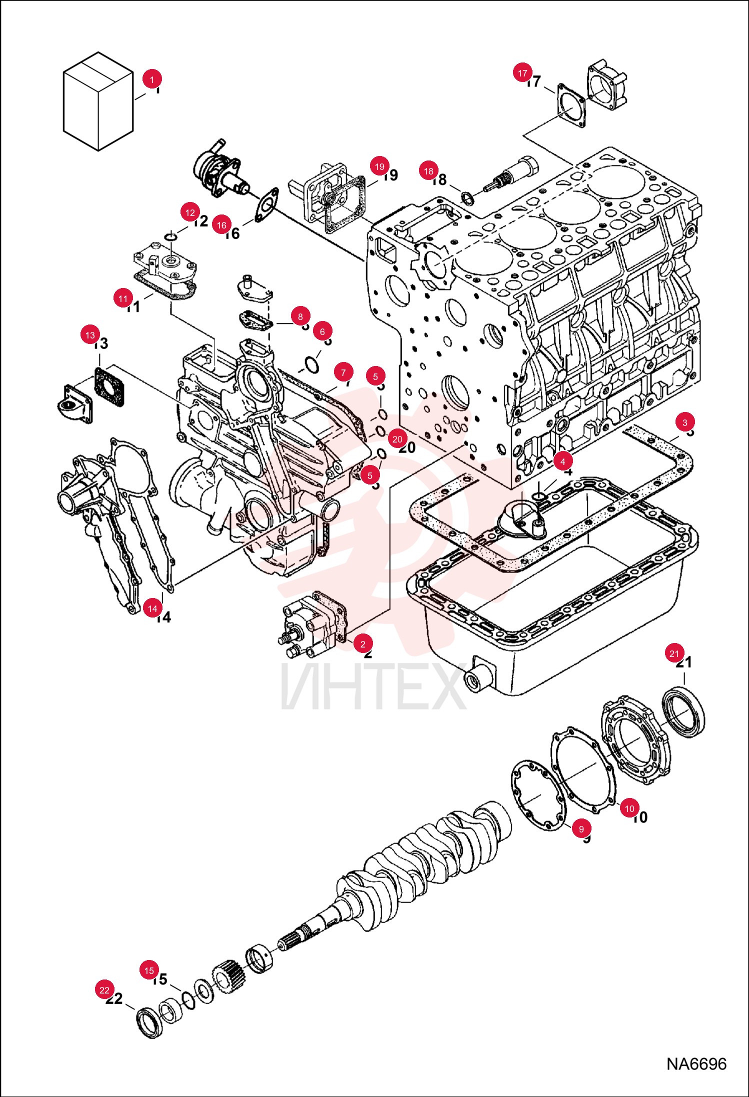 KIT, GASKET 6630555 (4)