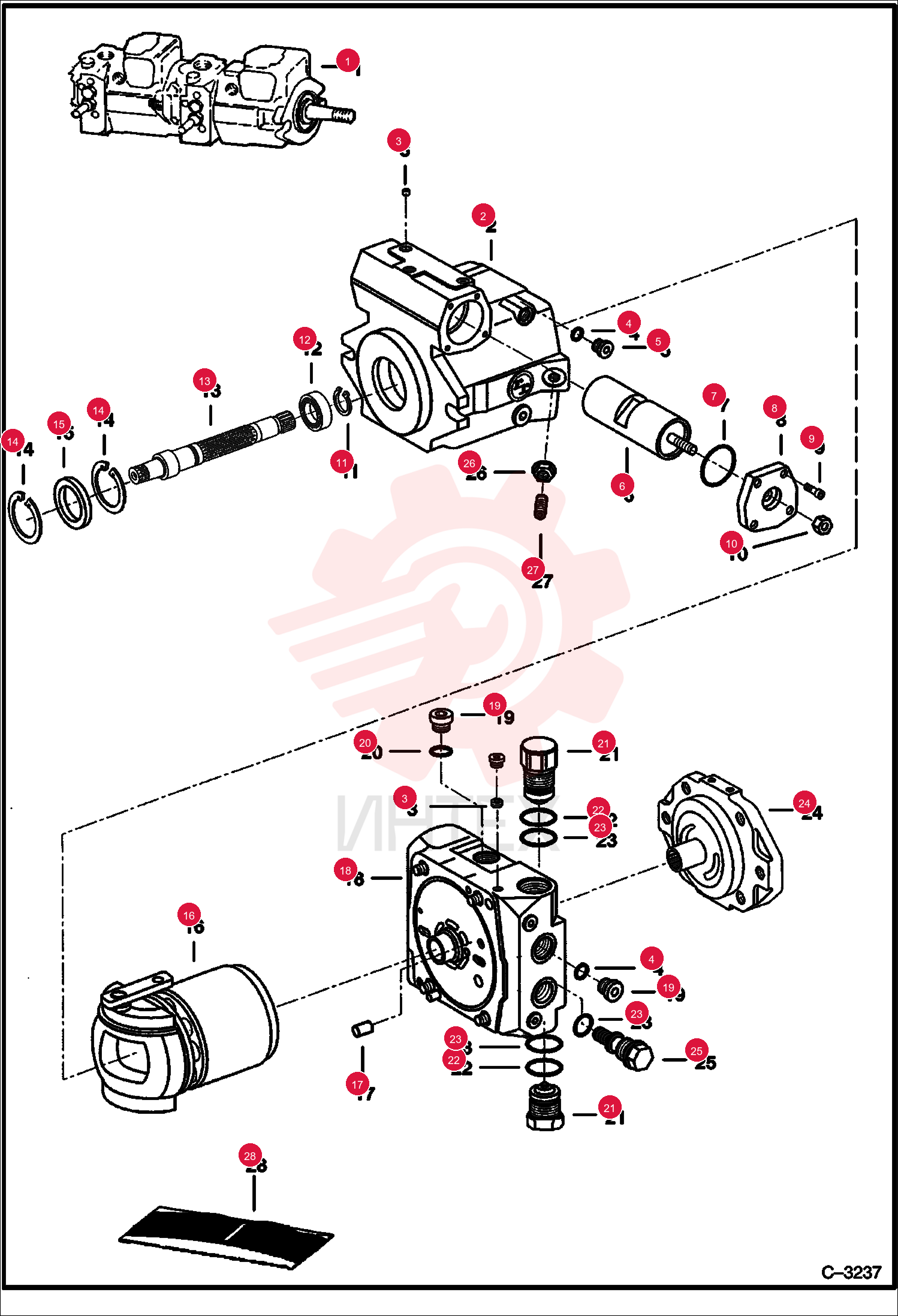 PUMP, HYD TANDEM 6674238 (3)