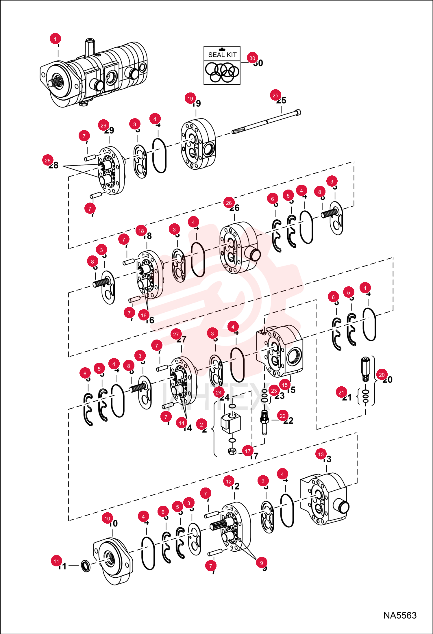 PUMP, GEAR 7010316