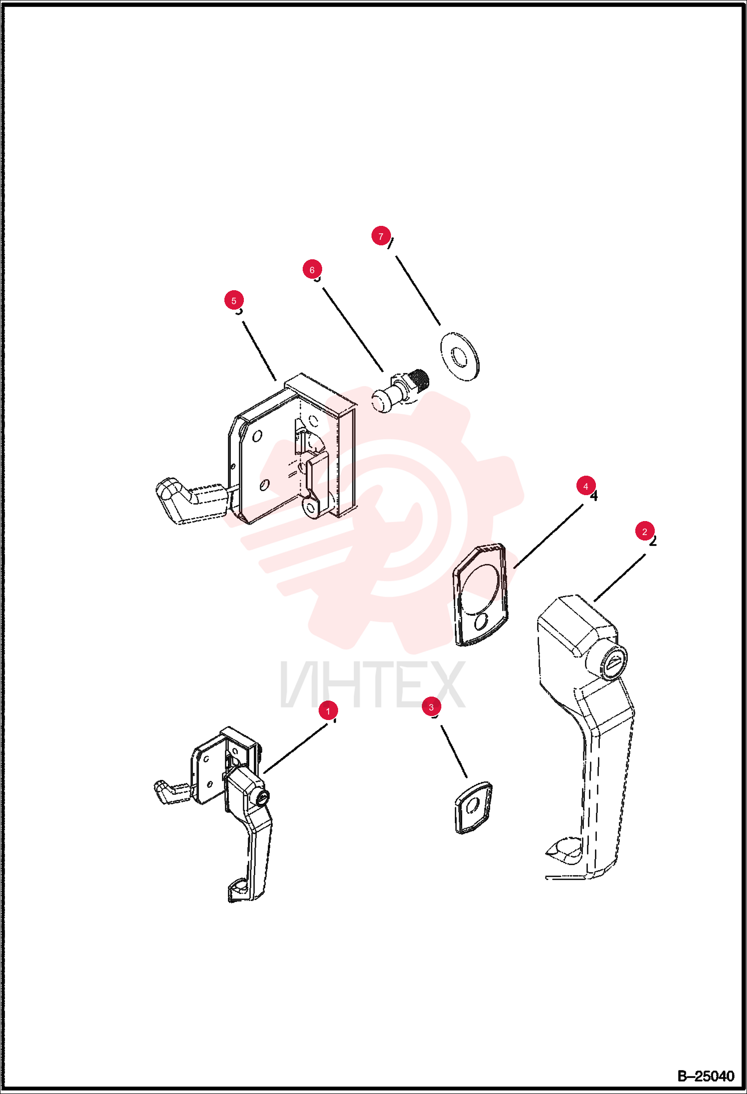 BODY
