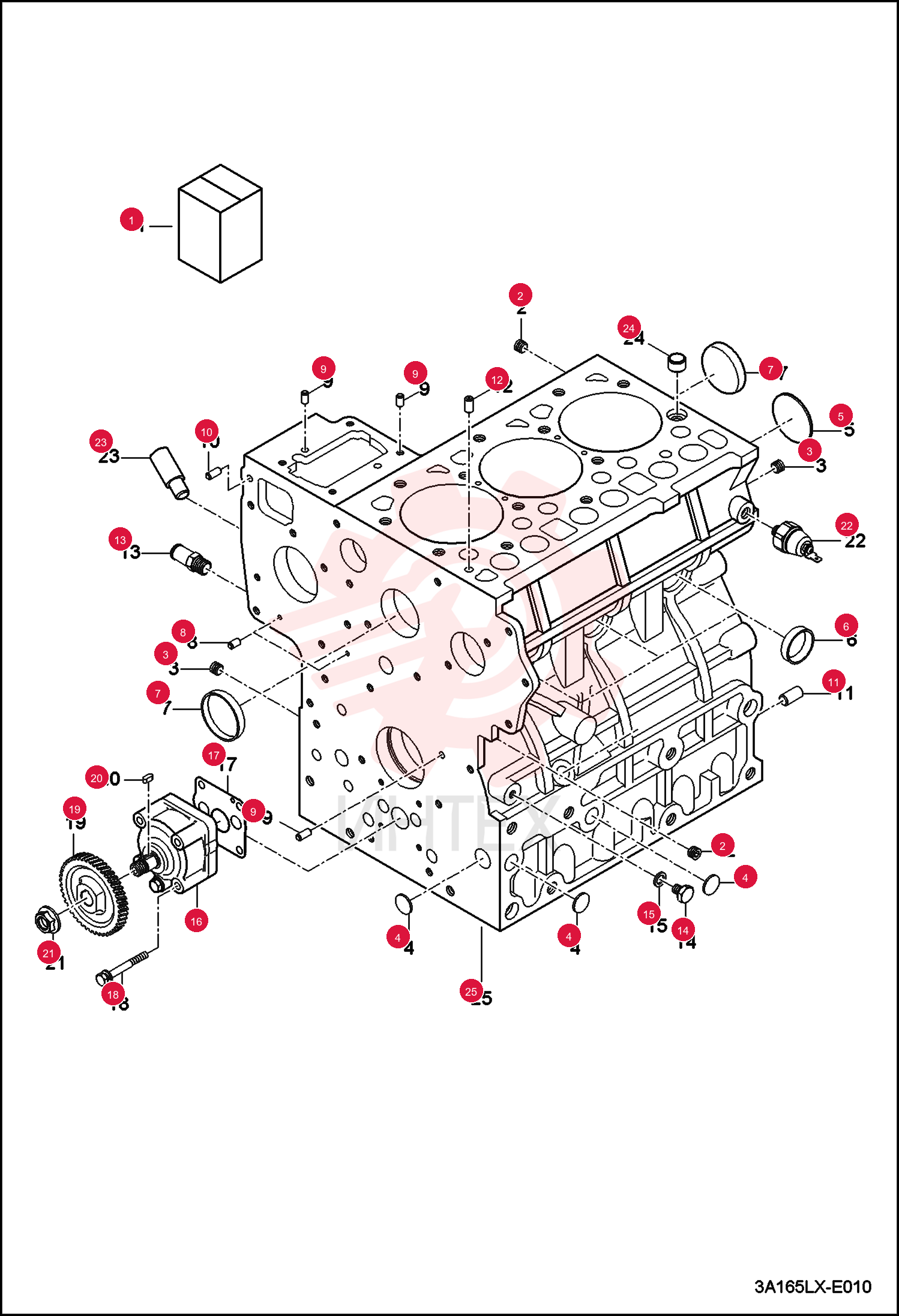 ENGINE, DAEDONG 3A165LWH