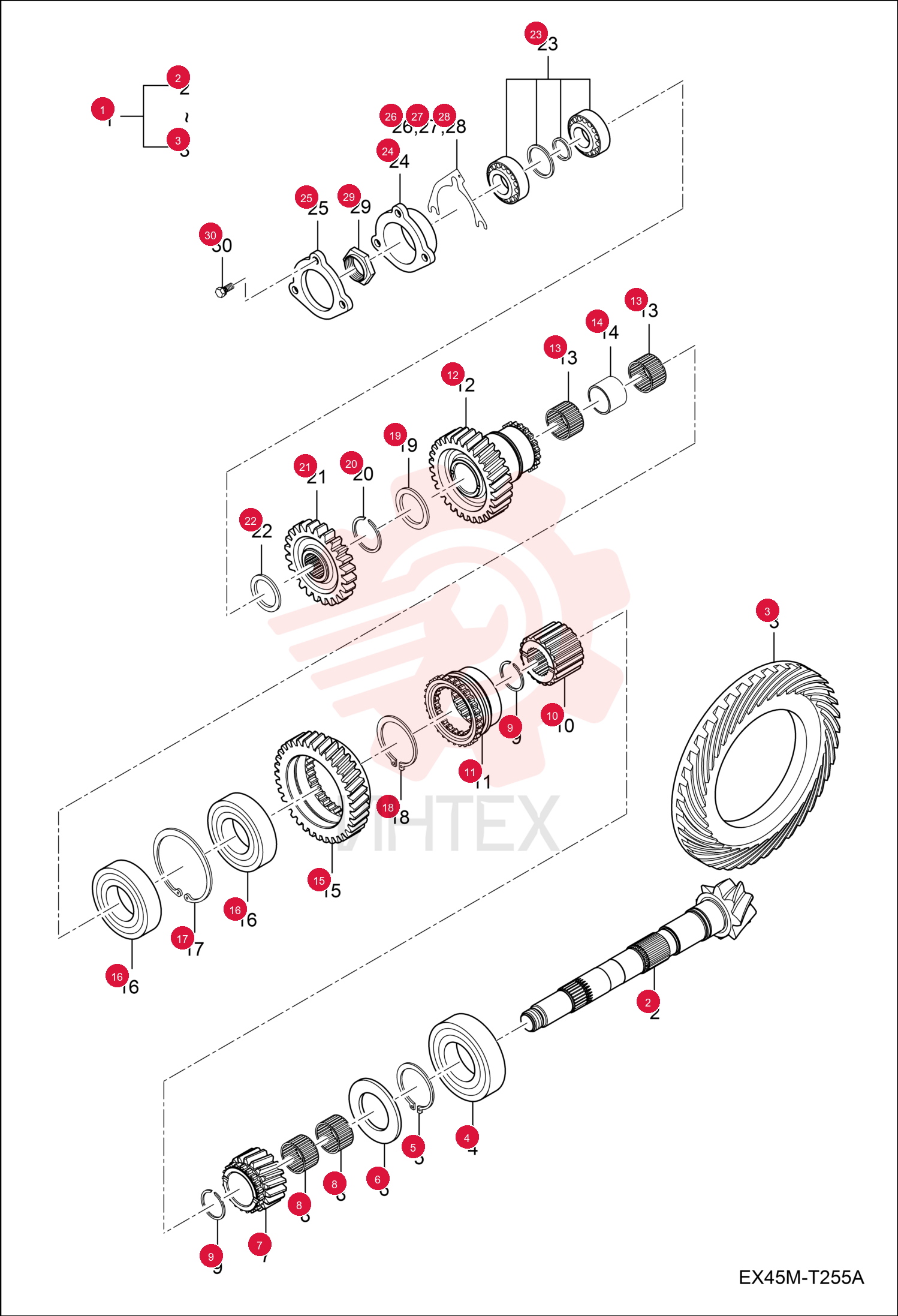 GEAR, SPIRAL BEVEL ASSY 7002873 (3)