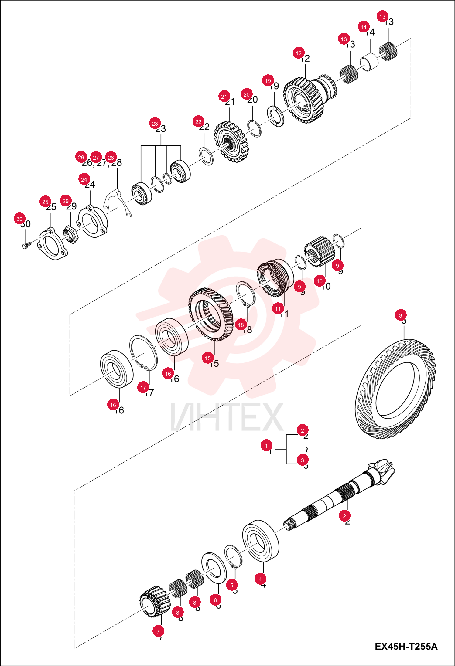 GEAR, SPIRAL BEVEL ASSY 7002873 (2)