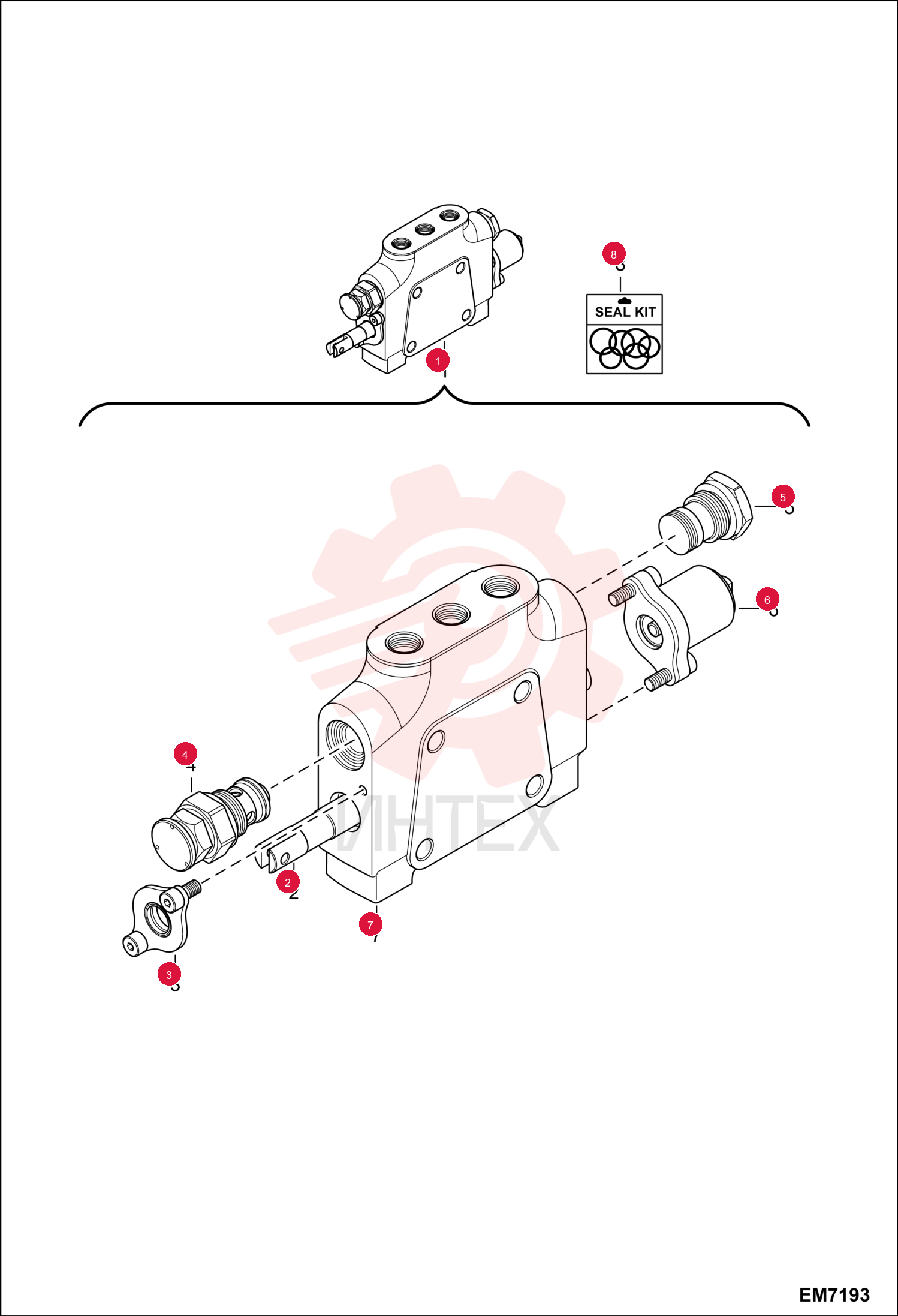 VALVE SECTION 7000525 (5)