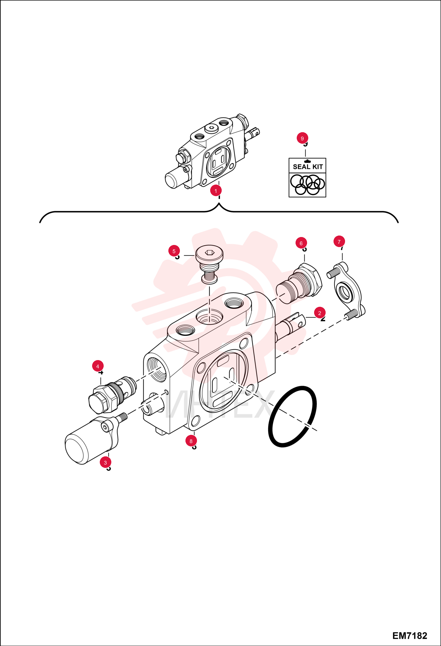 VALVE SECTION 7000528 (2)