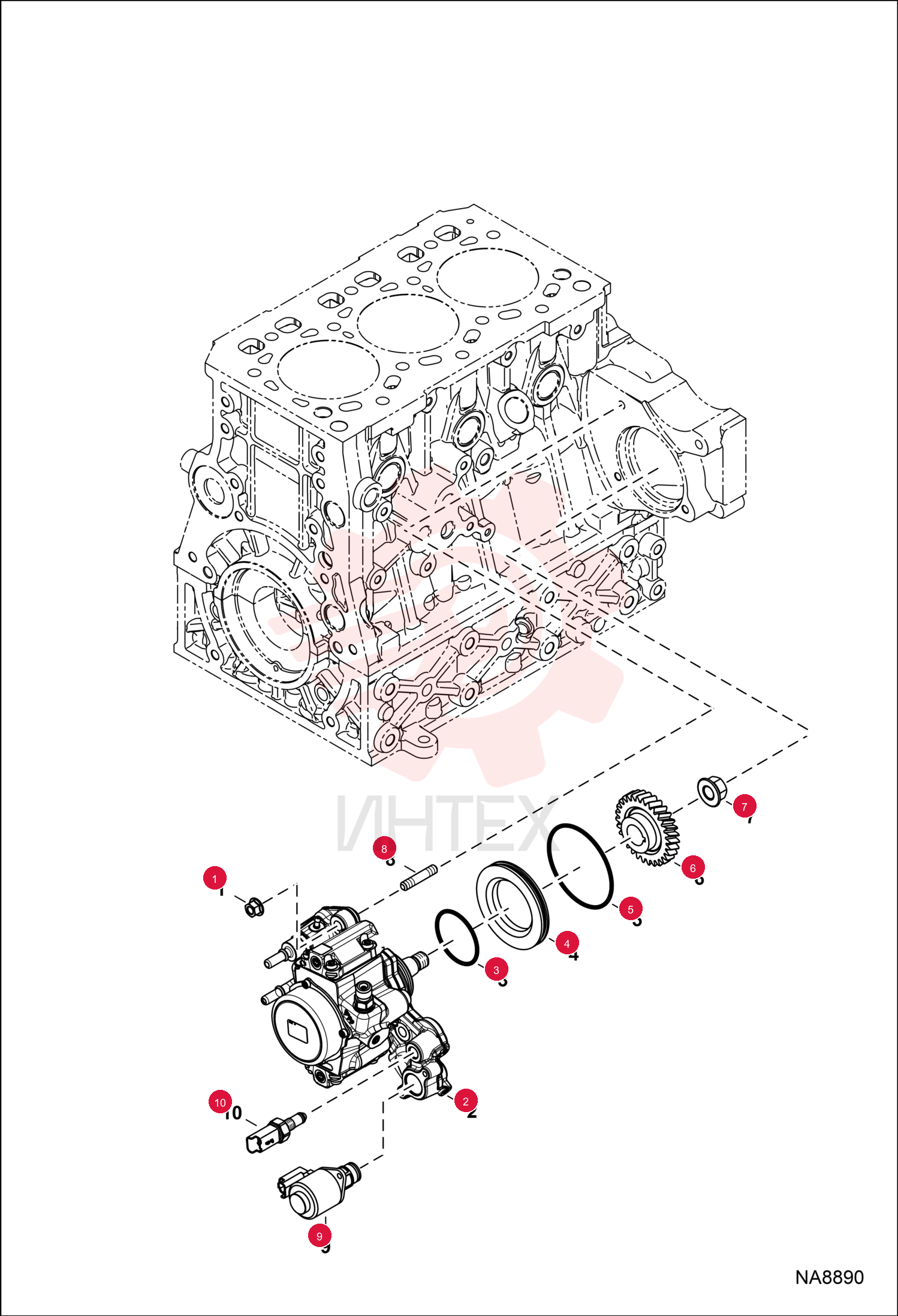 NUT 7030370 (1)