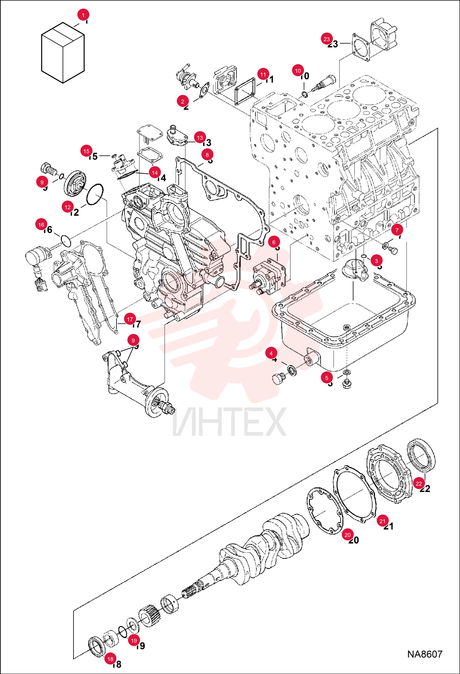 GASKET 6686037
