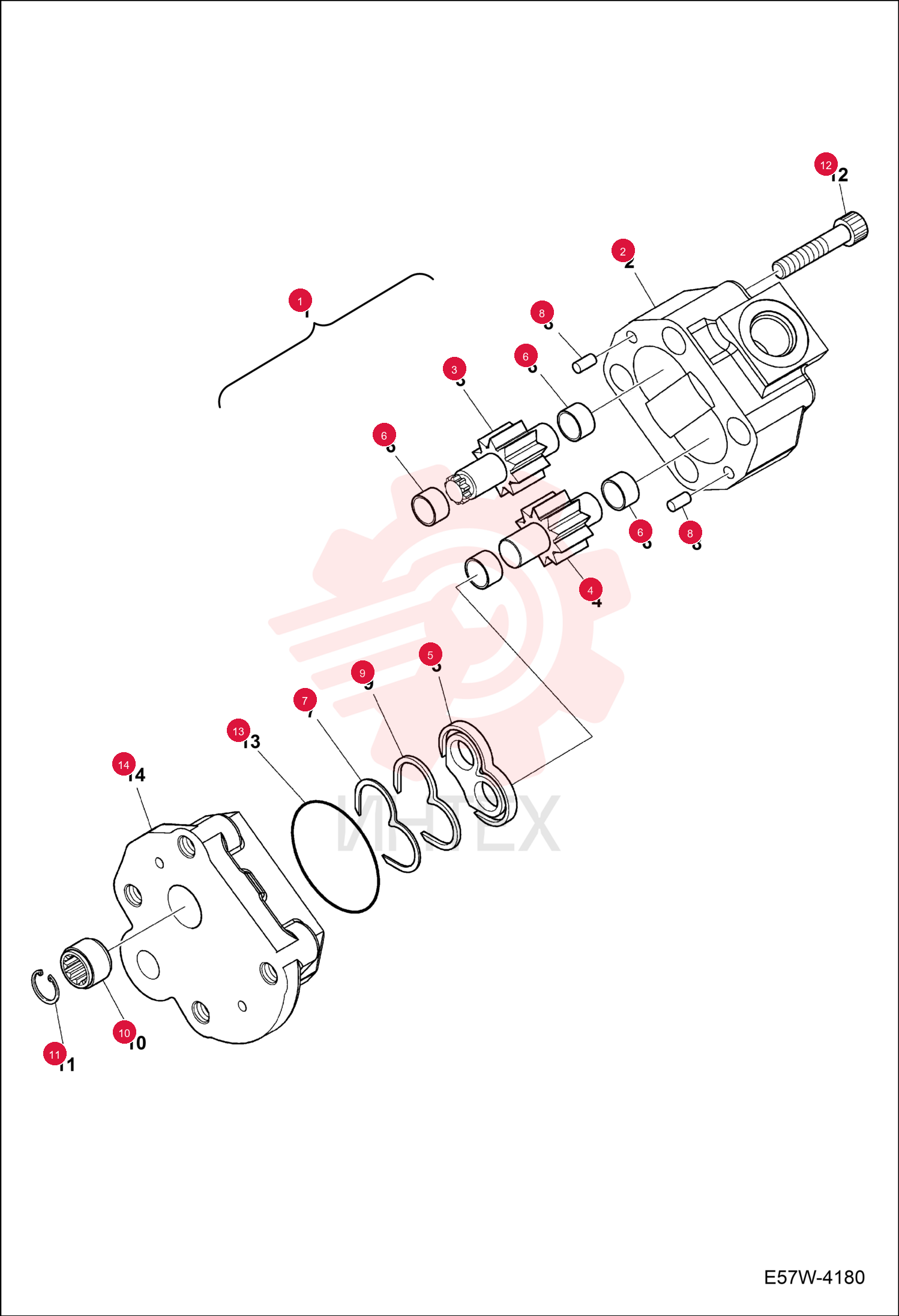 PUMP GEAR 7003806
