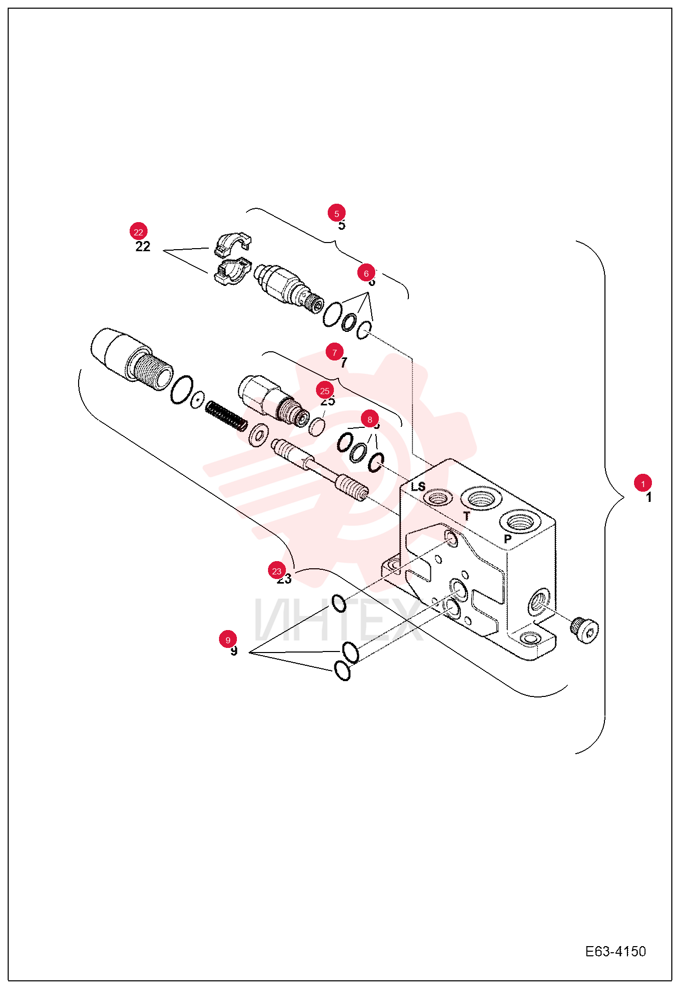 SECTION, VALVE 7029664