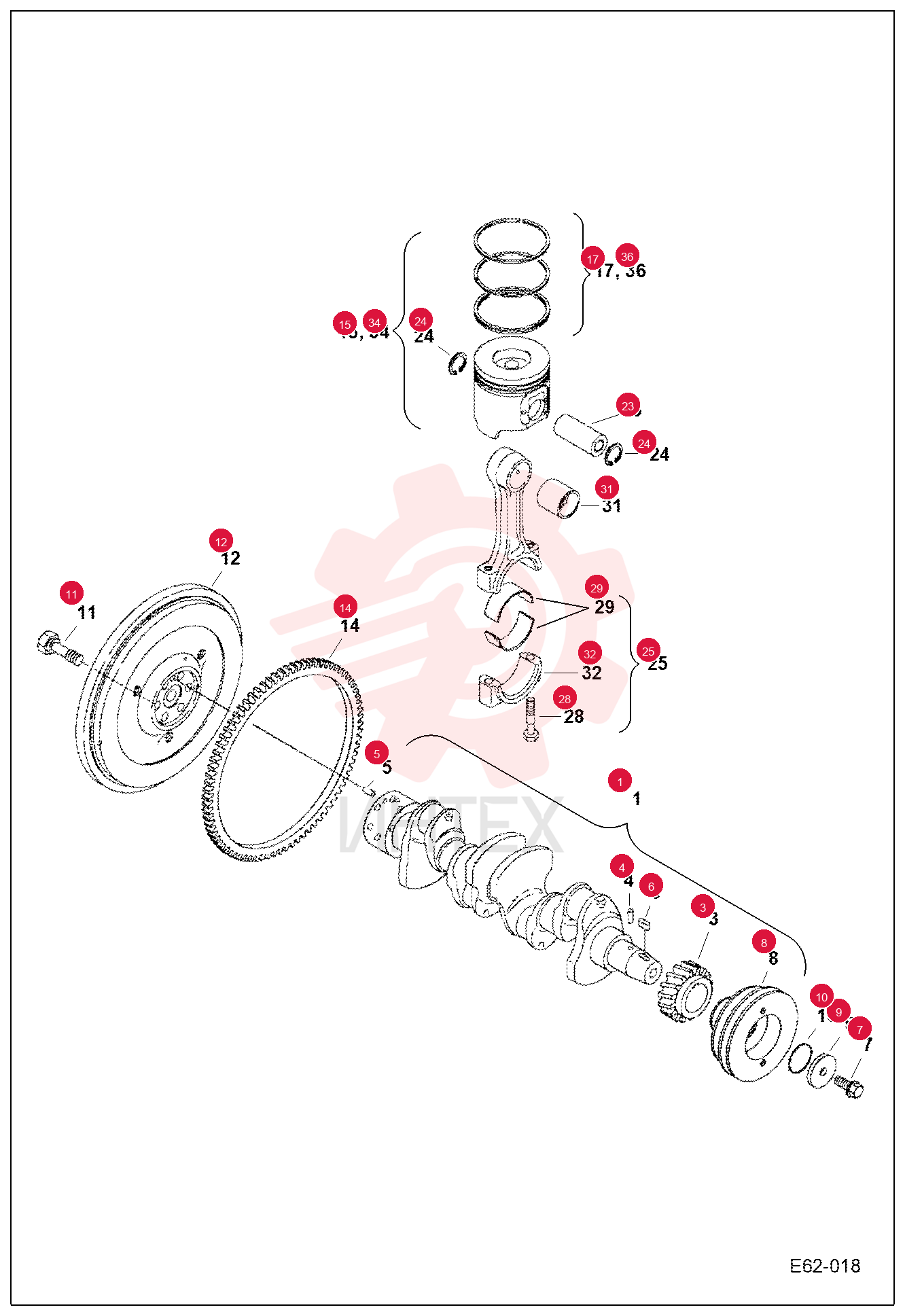 SHAFT CRANK ASSY 7005071