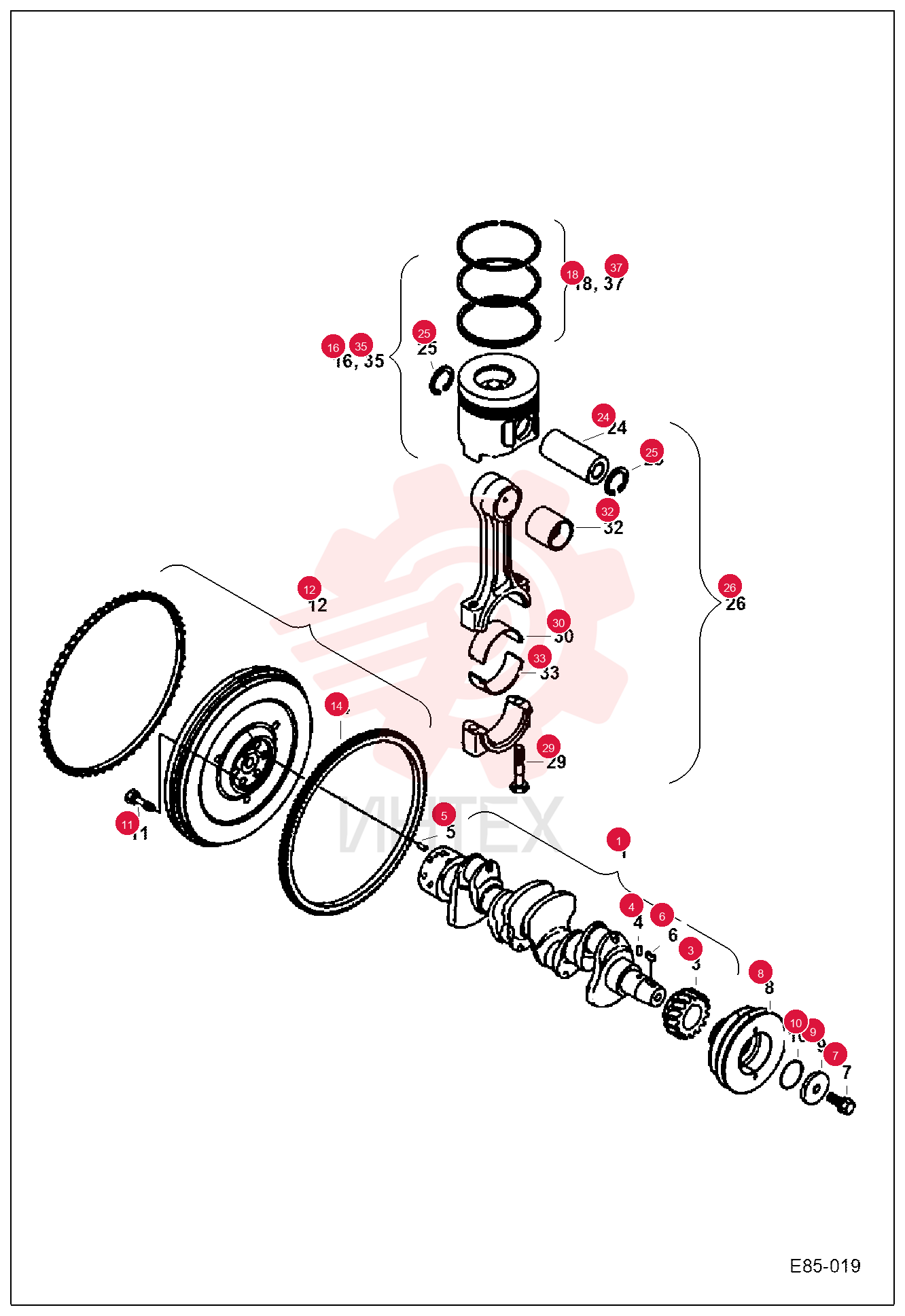 CRANKSHAFT, ENG 7028981