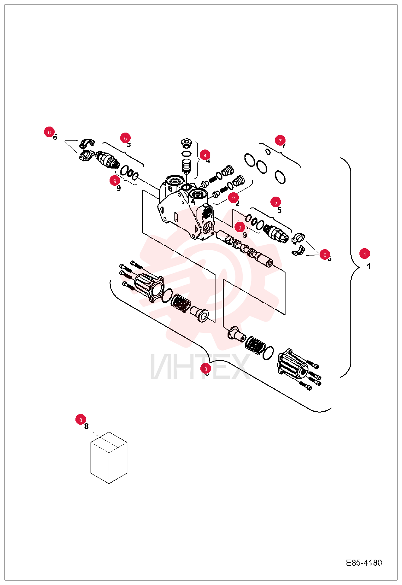 SECTION, VALVE 7029368 (2)