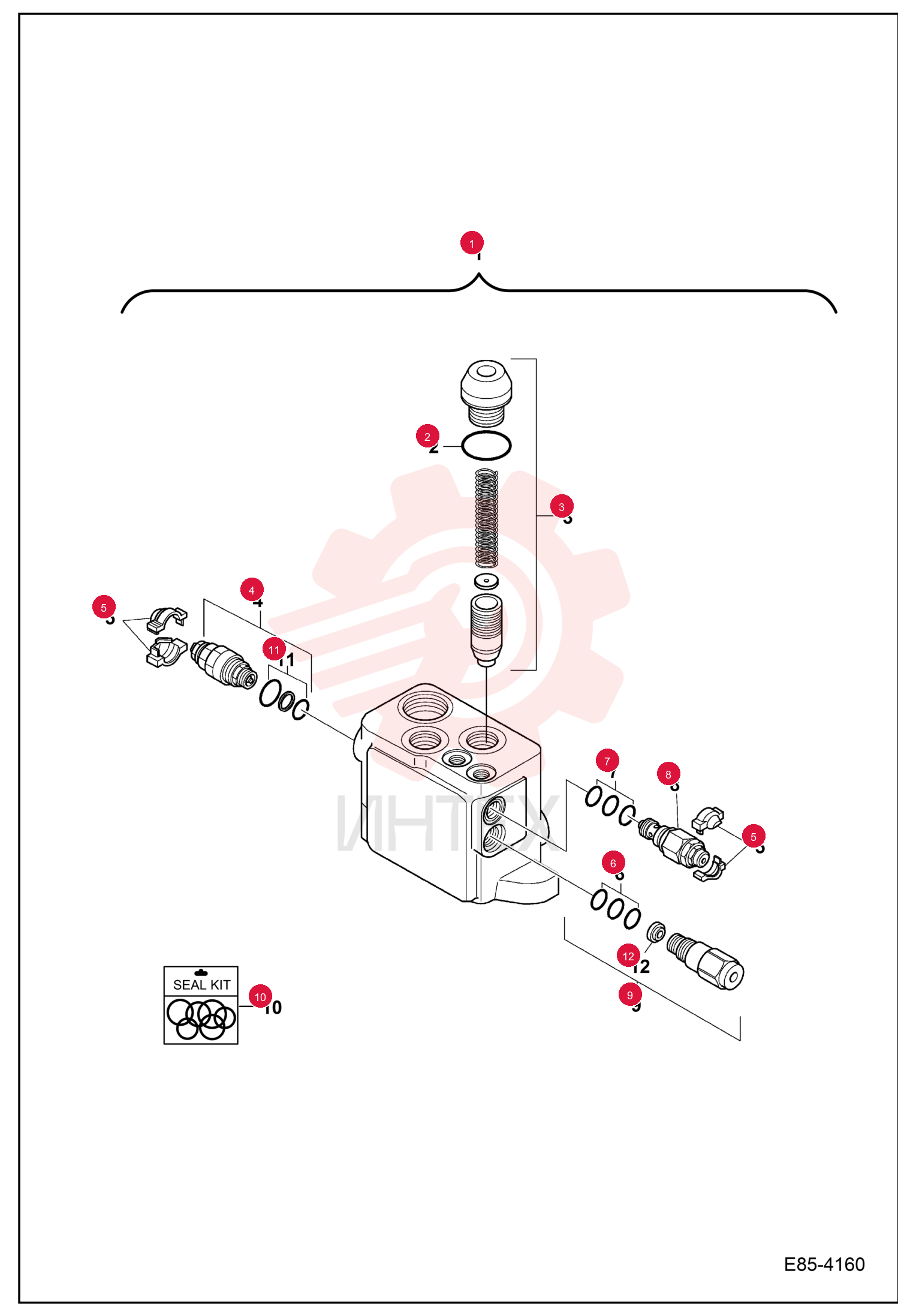 SECTION, VALVE 7029371 (2)