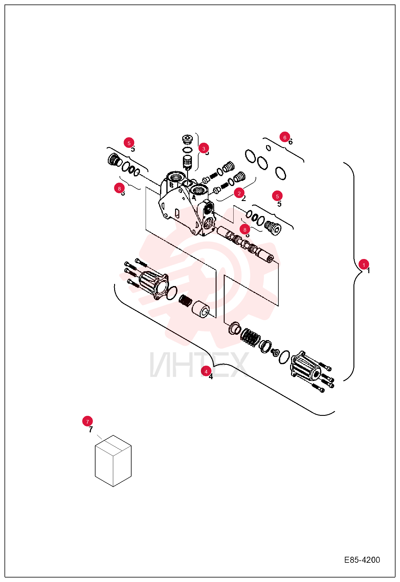 SECTION, VALVE 7029370 (2)