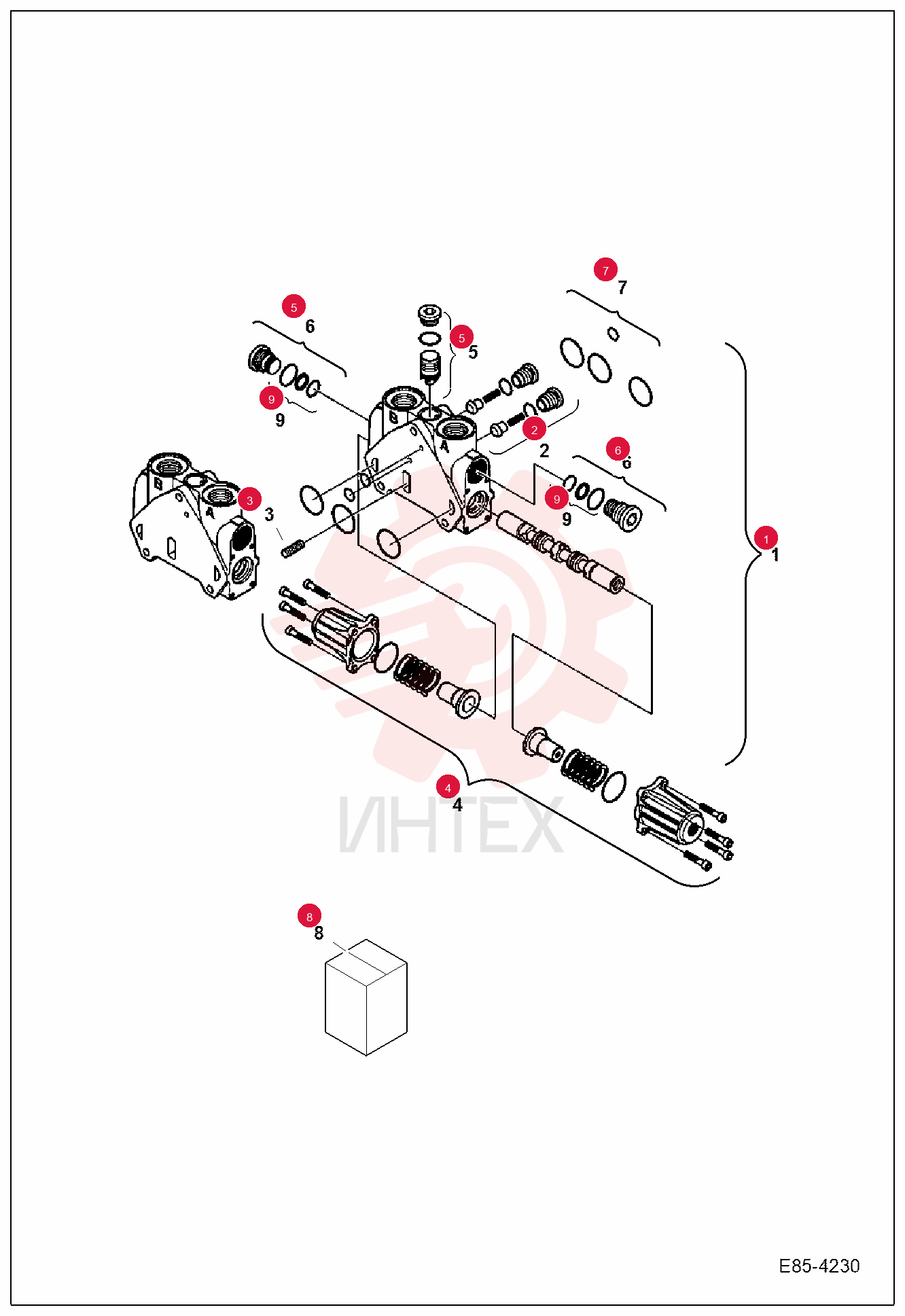 SECTION, VALVE 7029376 (2)