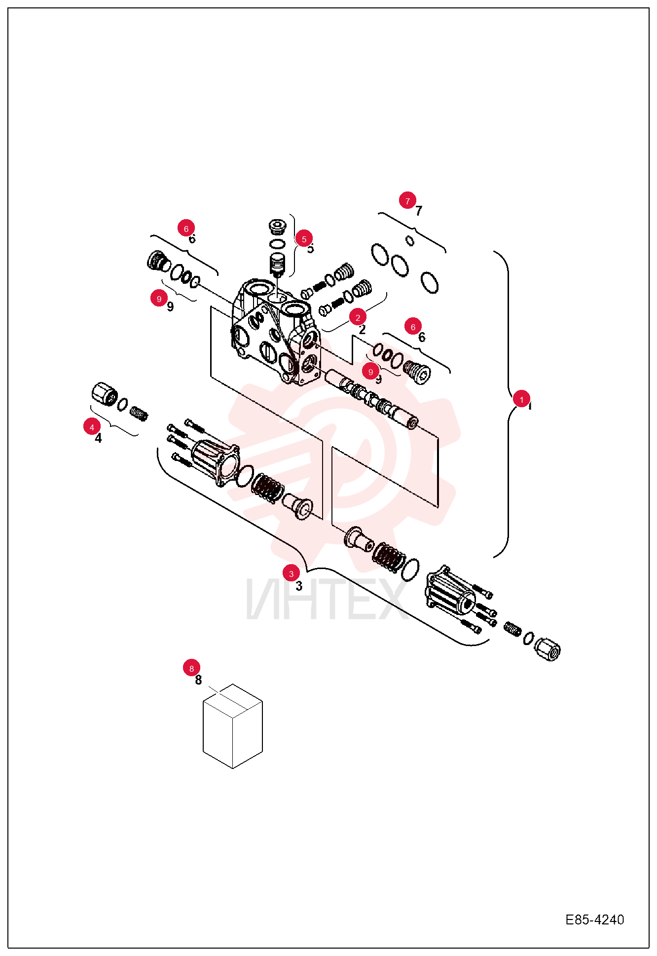 SECTION, VALVE 7029374 (1)