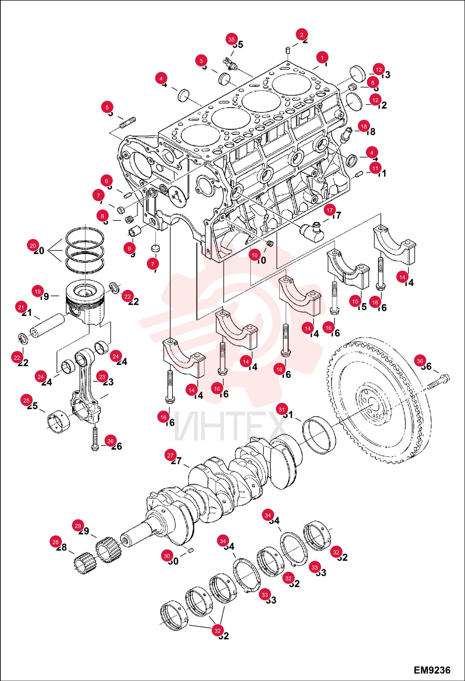 BLOCK ENGINE 6698544