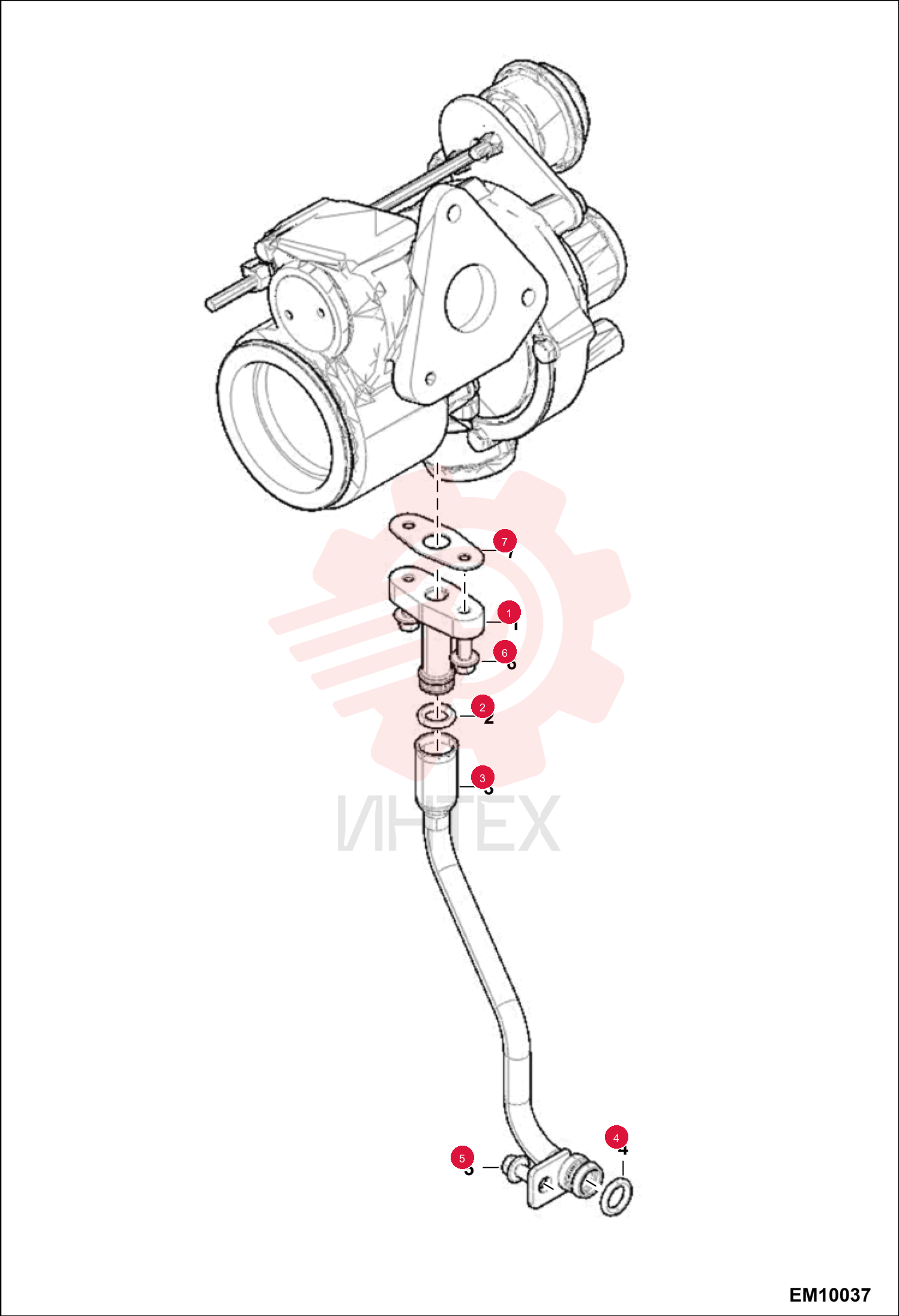 FLANGE 6677576