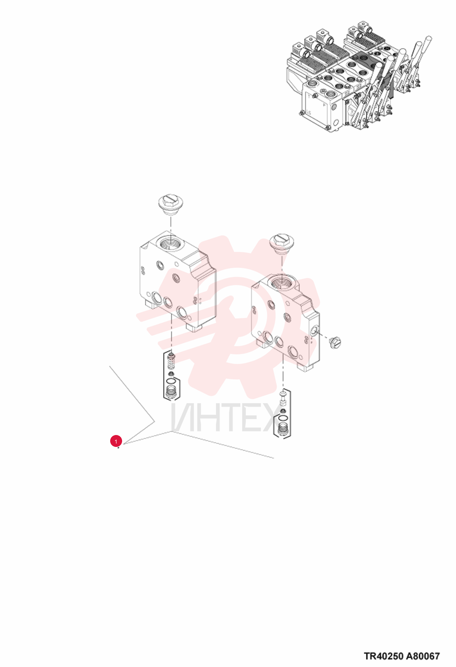 SECTION, VALVE 7019473