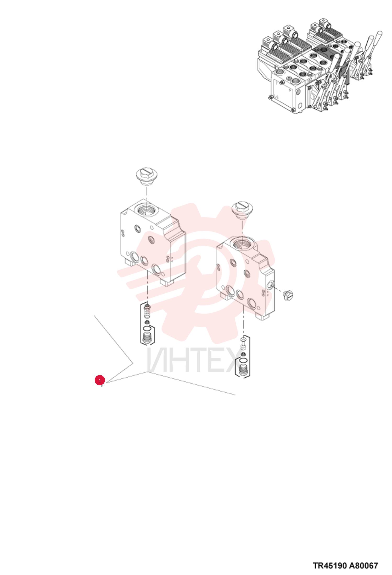 SECTION, VALVE 7019473