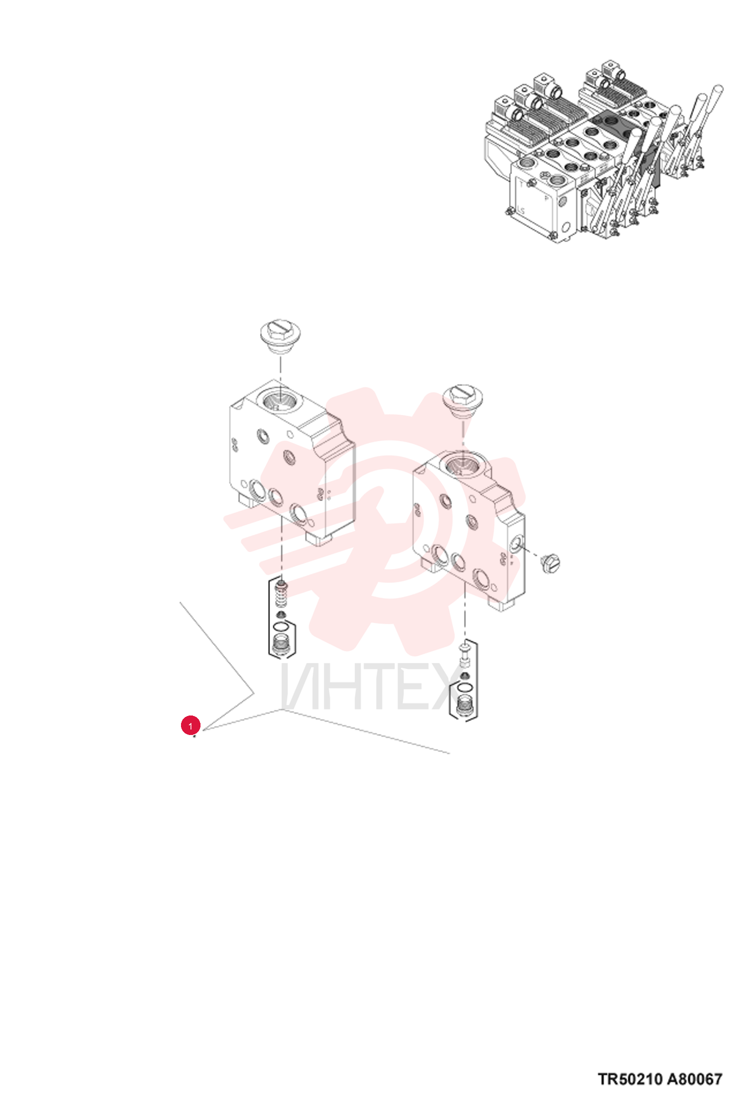 SECTION, VALVE 7019473