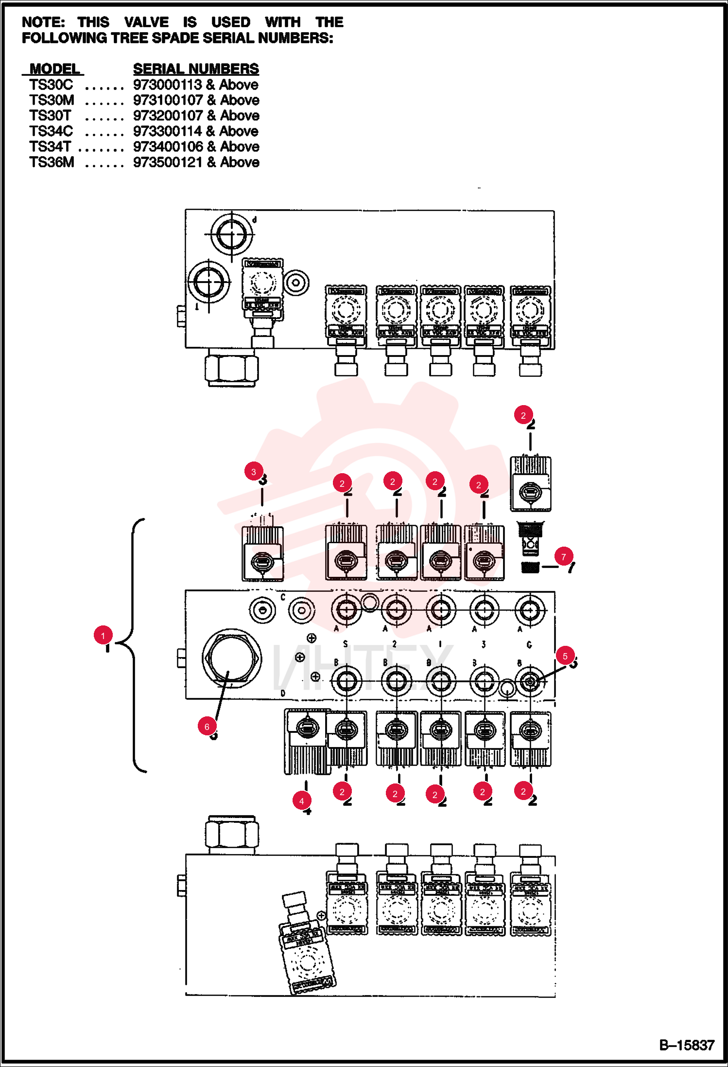 VALVE ASSY 6678028 (1)